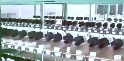 深圳西思电气有限公司