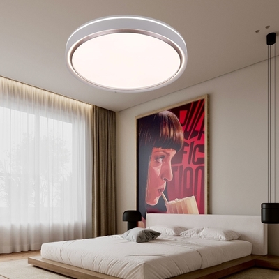 Good price X-DX0341-50Y/80Y 吸顶灯 online